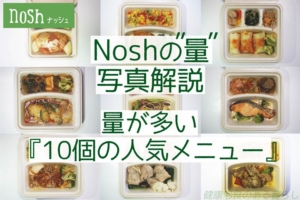 Nosh(ナッシュ)の量を写真解説| 量が多い”10個の人気メニュー”とは